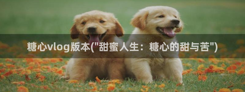 糖心vlgo安安老师