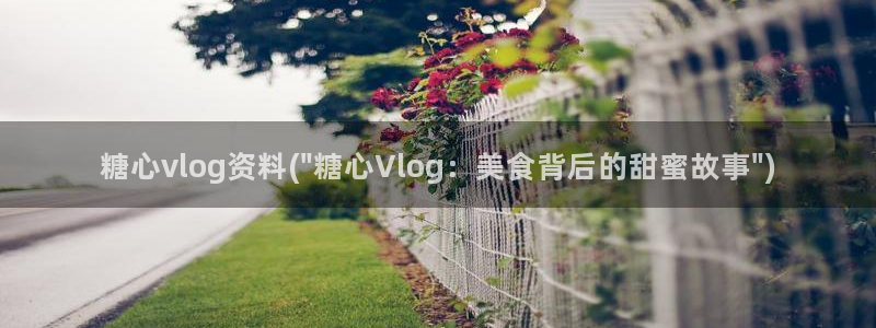 糖心vlgo