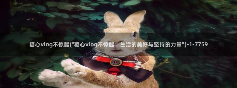 糖心vlgo哪个博主最火