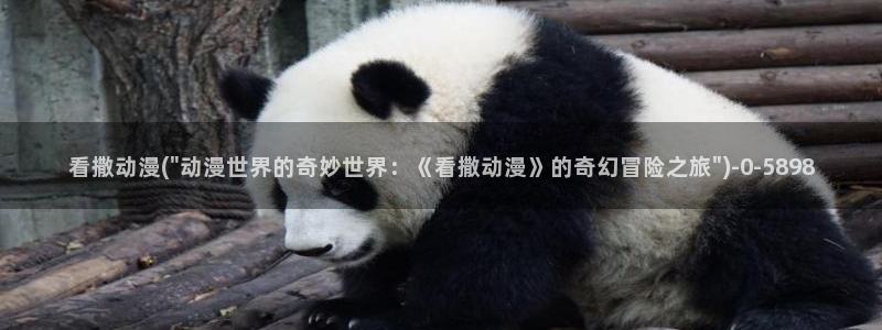 布米米动漫