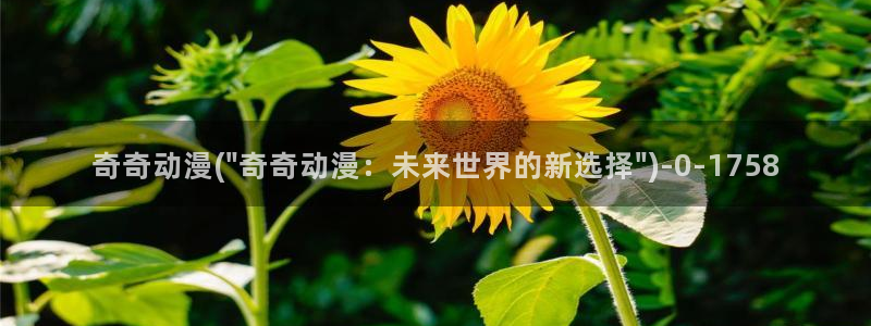 探索者系列动漫