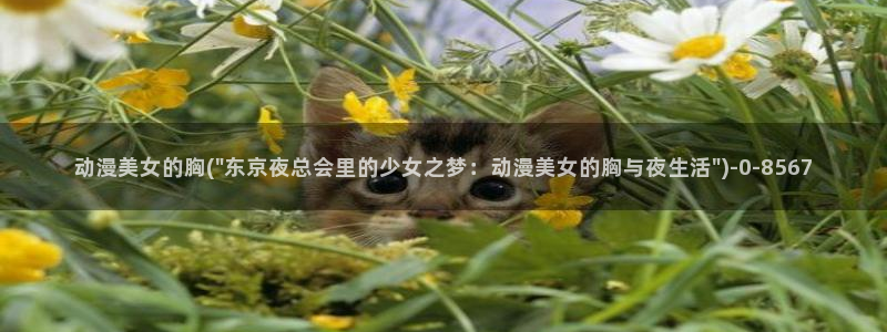 新番动漫
