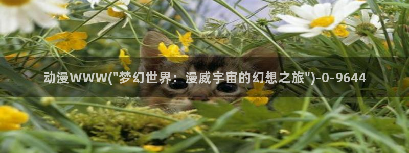 里番动漫在线观看