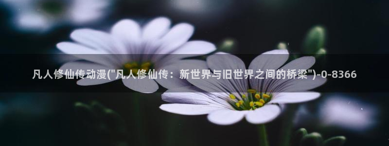 动漫在线观看