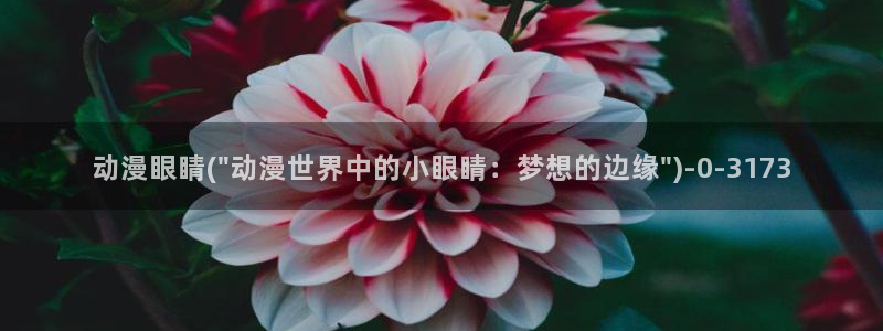 风车动漫在线看