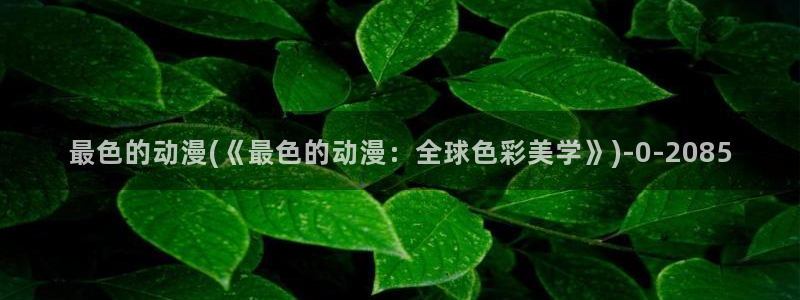 海贼王动漫：最色的动漫(《最色的动漫：全球色彩美学》)