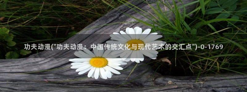 动漫导航：功夫动漫(\