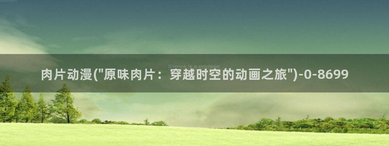 雪鹰领主动漫